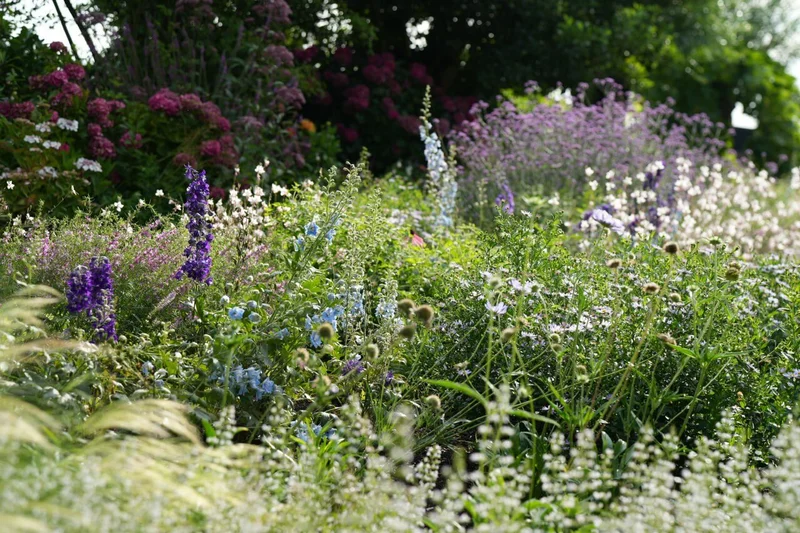 Weelderige bloementuin - beplantingsadvies Woerdense Verlaat Nieuwkoop