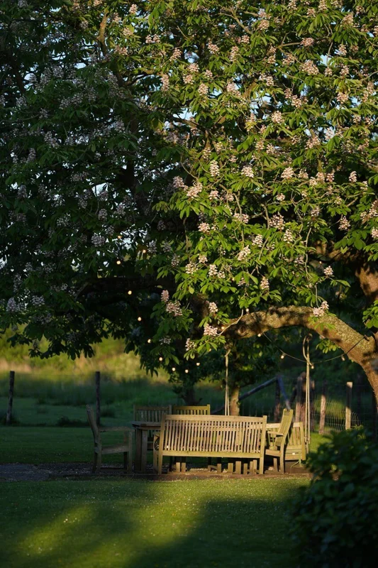 Zithoek onder bloeiende boom - tuinadvies Woerdense Verlaat Nieuwkoop
